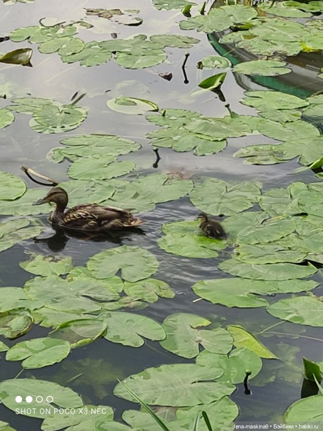 Парк и матрёшки — Игрушки СССР и советского детства: резиновые