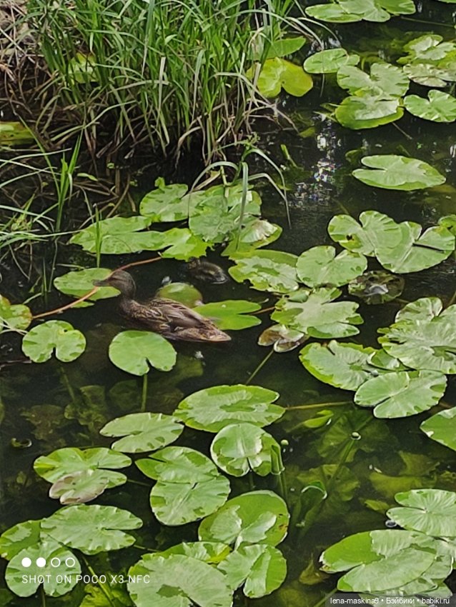 Парк и матрёшки — Игрушки СССР и советского детства: резиновые