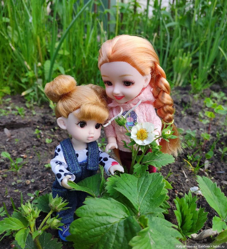 Новые девочки и вечерние прогулки (фото 9)