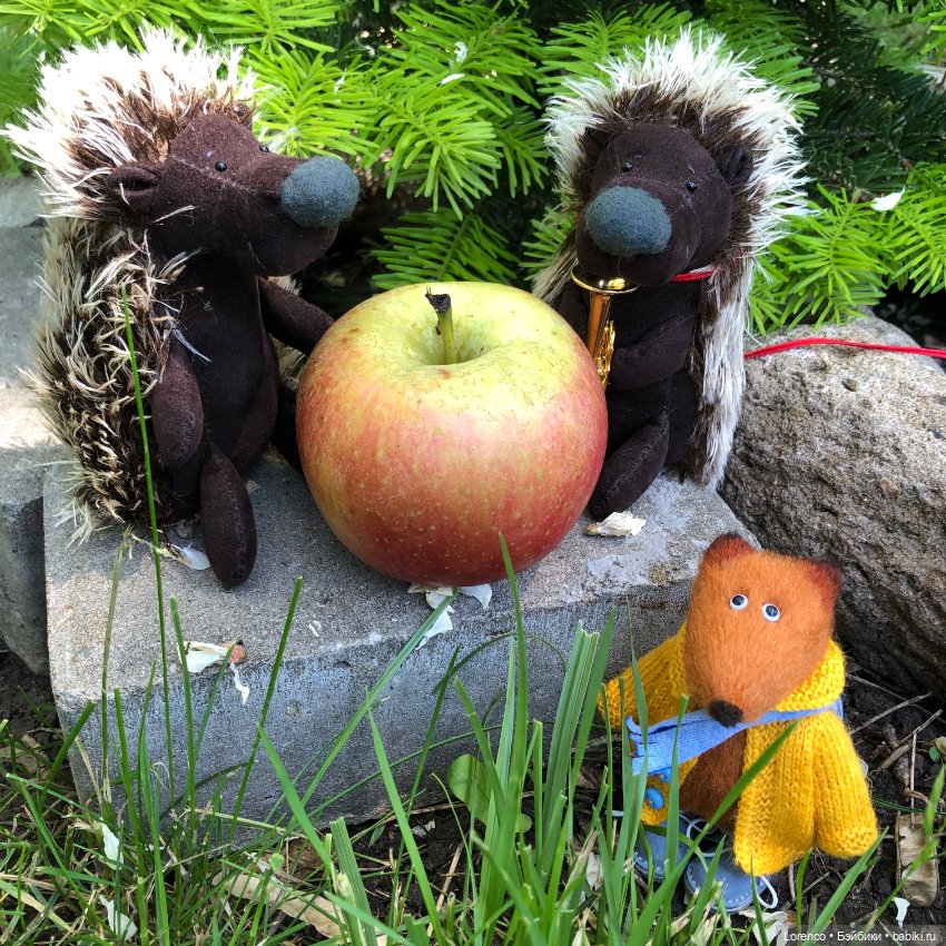 А где же ежик? Не про куклы или топик на злобу дня (фото 9)