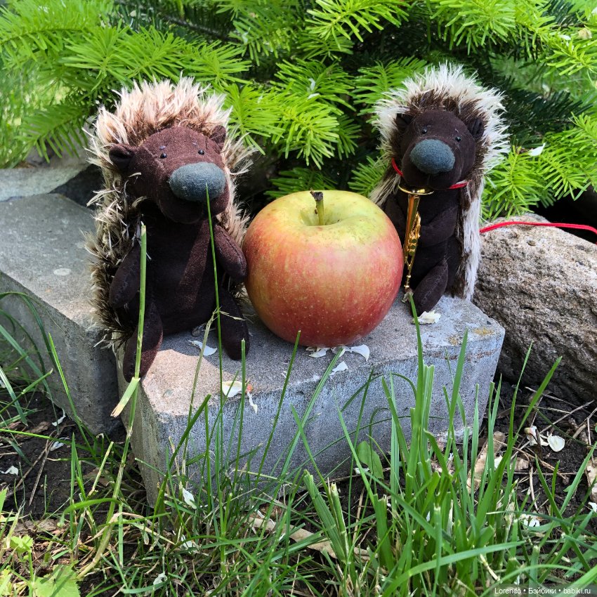 А где же ежик? Не про куклы или топик на злобу дня (фото 8)