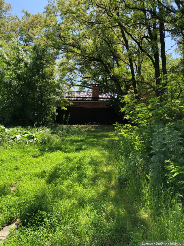 А где же ежик? Не про куклы или топик на злобу дня