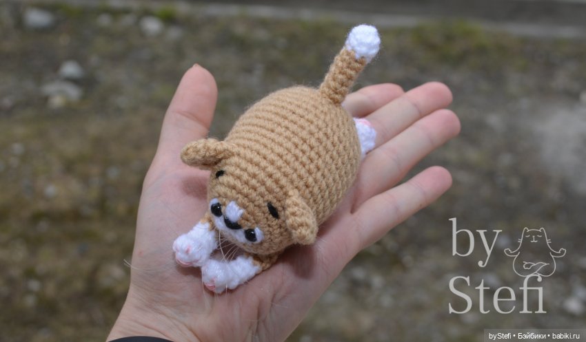 Котёнок. Цвет крем-брюле получился (фото 4)