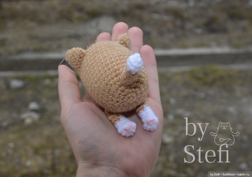 Котёнок. Цвет крем-брюле получился (фото 3)