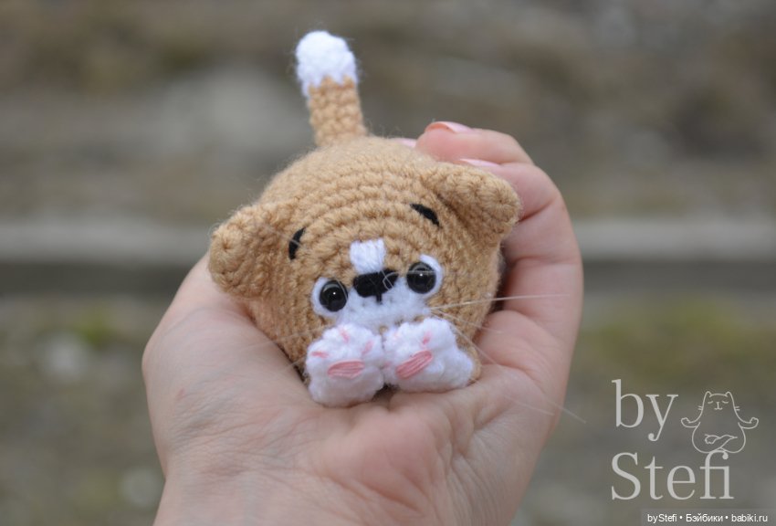 Котёнок. Цвет крем-брюле получился