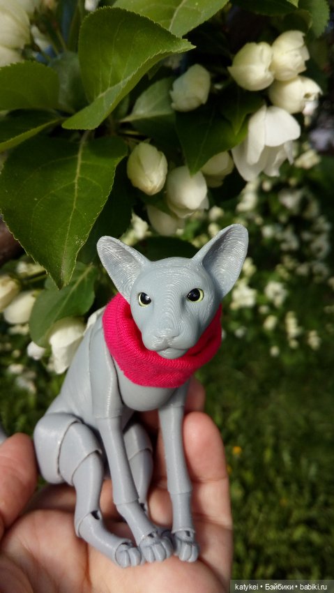 Занимательная ботаника с Кварком