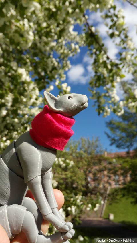 Занимательная ботаника с Кварком