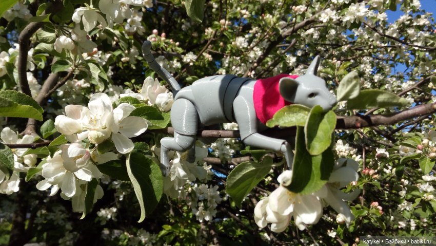 Занимательная ботаника с Кварком