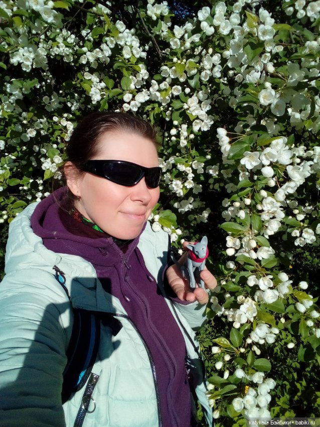 Занимательная ботаника с Кварком