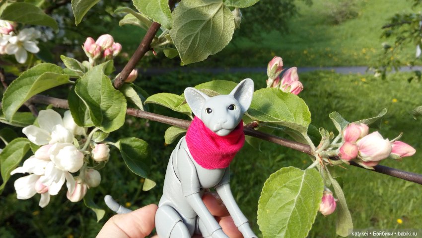 Занимательная ботаника с Кварком