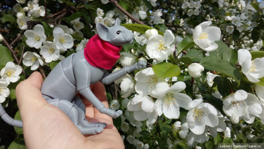 Занимательная ботаника с Кварком