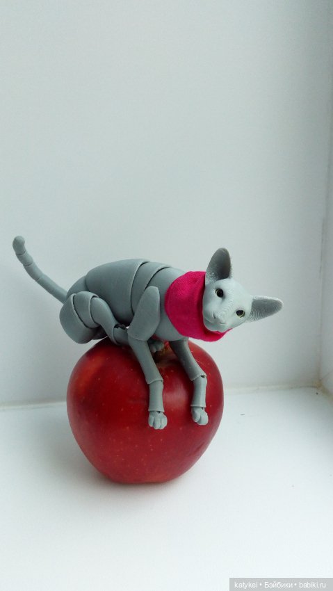 Занимательная ботаника с Кварком