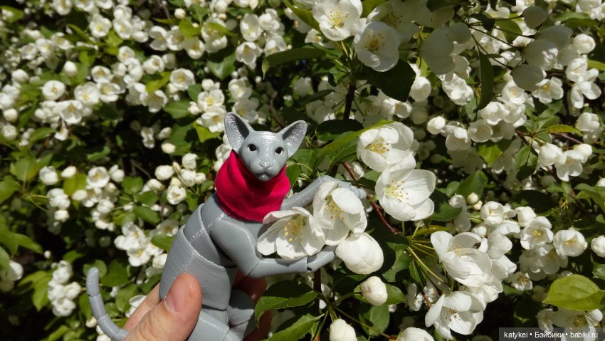 Занимательная ботаника с Кварком