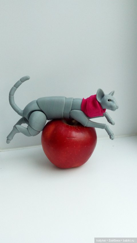 Занимательная ботаника с Кварком