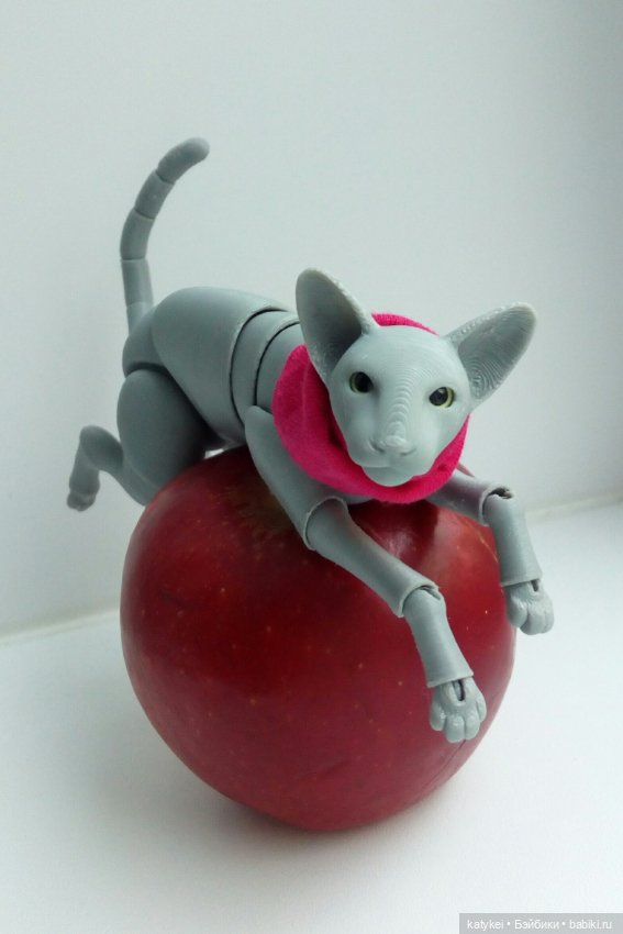 Занимательная ботаника с Кварком