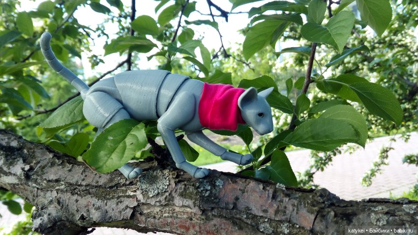 Занимательная ботаника с Кварком