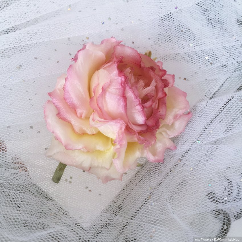 Последний день Весны — Болталка и разговоры обо всем: жизнь