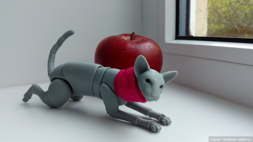 Занимательная ботаника с Кварком