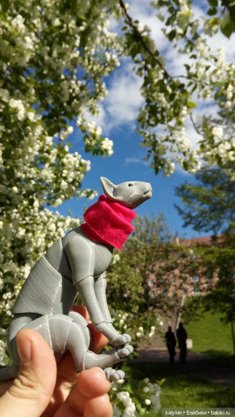 Занимательная ботаника с Кварком