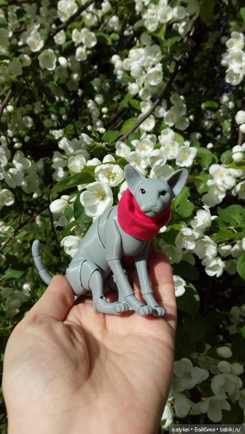 Занимательная ботаника с Кварком