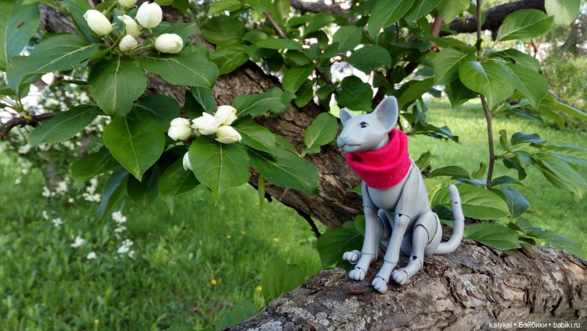 Занимательная ботаника с Кварком