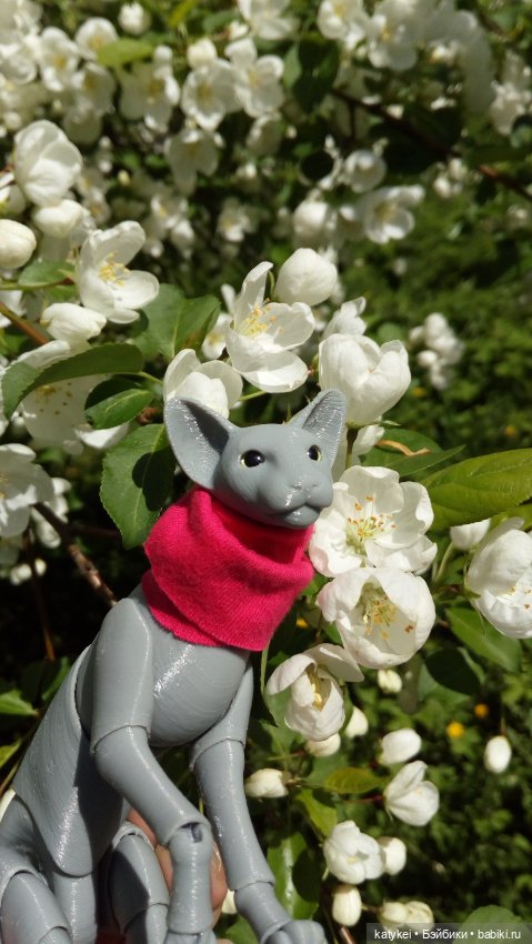 Занимательная ботаника с Кварком