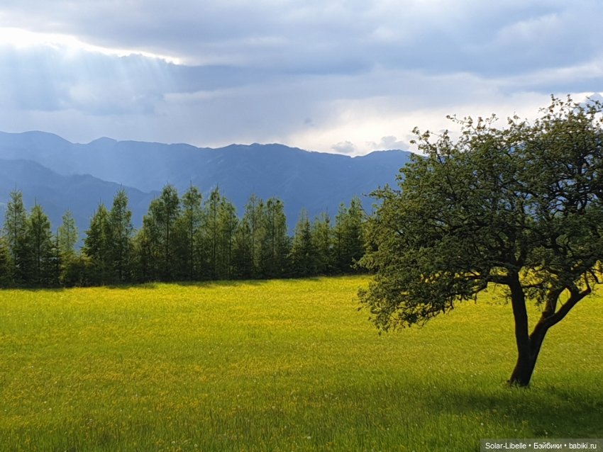 Frohnleiten. Весна и куколки