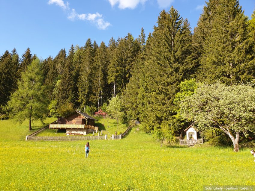 Frohnleiten. Весна и куколки