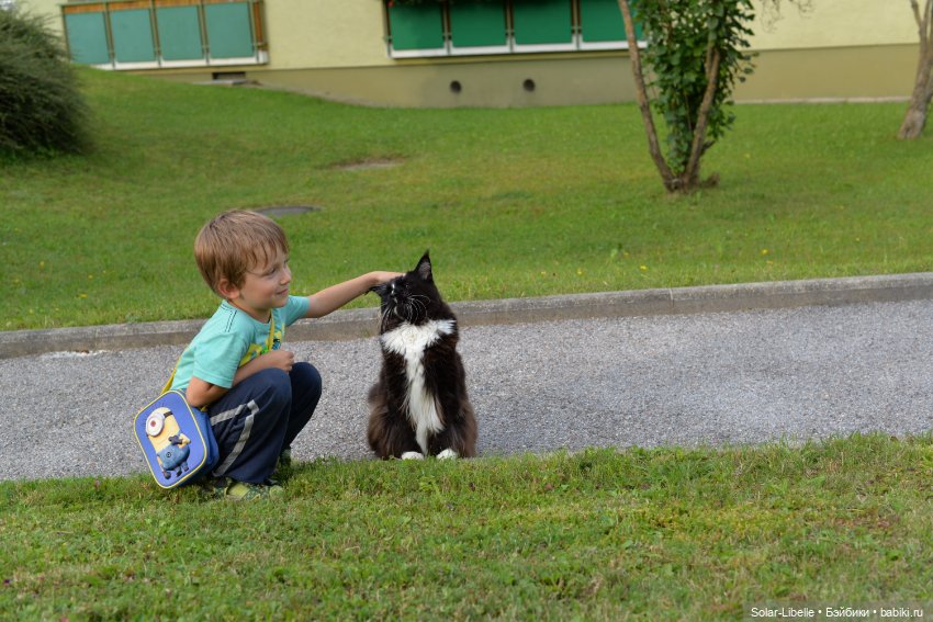 Frohnleiten. Весна и куколки