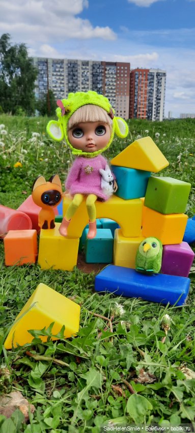 Новая Блайз тбл прогулка — Куклы Blythe (Блайз) ООАК: кастом