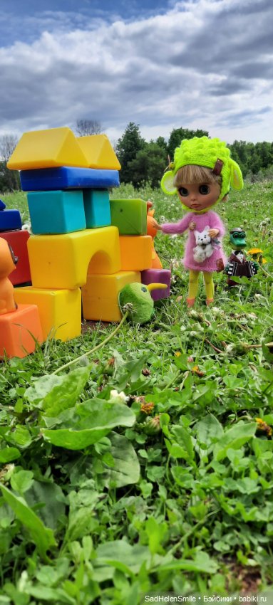 Новая Блайз тбл прогулка — Куклы Blythe (Блайз) ООАК: кастом