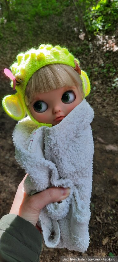 Новая Блайз тбл прогулка — Куклы Blythe (Блайз) ООАК: кастом