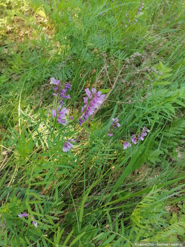 По дороге с облаками — Красивая природа и цветы: фото пейзажей