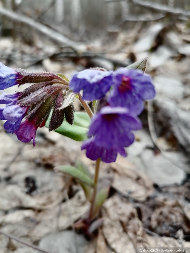 По дороге с облаками — Красивая природа и цветы: фото пейзажей