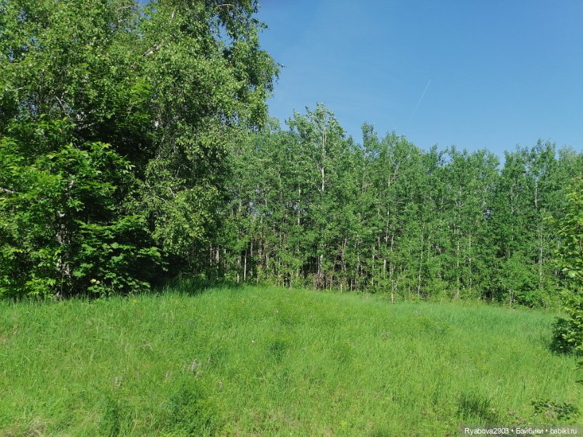 По дороге с облаками — Красивая природа и цветы: фото пейзажей