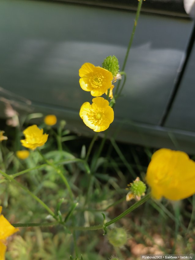 По дороге с облаками — Красивая природа и цветы: фото пейзажей (фото 9)