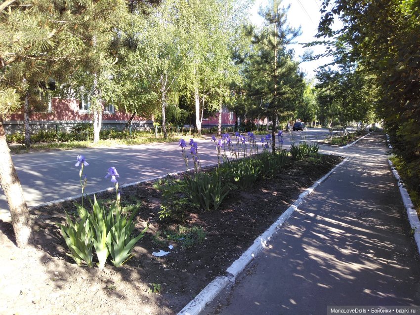 Город детства, как живёшь