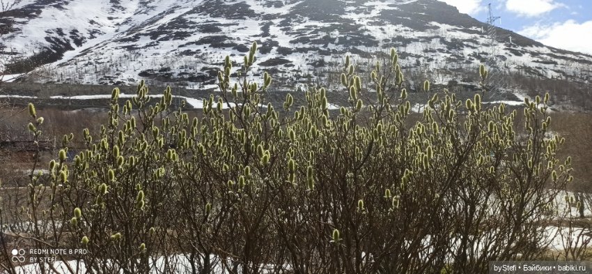 31 мая в Заполярье — Интересное обо всем: поздравления (фото 5)