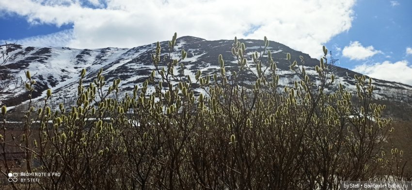 31 мая в Заполярье — Интересное обо всем: поздравления (фото 3)