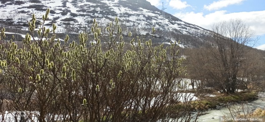 31 мая в Заполярье — Интересное обо всем: поздравления (фото 4)