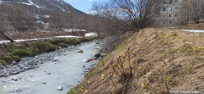 31 мая в Заполярье — Интересное обо всем: поздравления