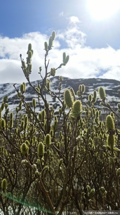 31 мая в Заполярье — Интересное обо всем: поздравления (фото 7)