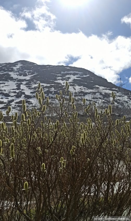 31 мая в Заполярье — Интересное обо всем: поздравления (фото 9)