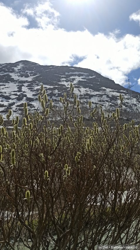 31 мая в Заполярье — Интересное обо всем: поздравления (фото 6)