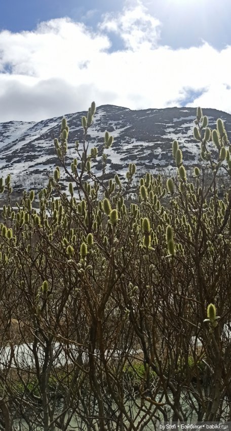 31 мая в Заполярье — Интересное обо всем: поздравления (фото 8)