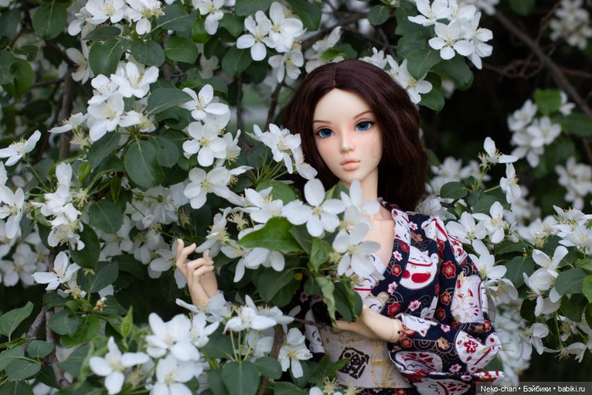 Челлендж в яблонях — Фотоистории с куклами BJD (БЖД): сериалы (фото 7)