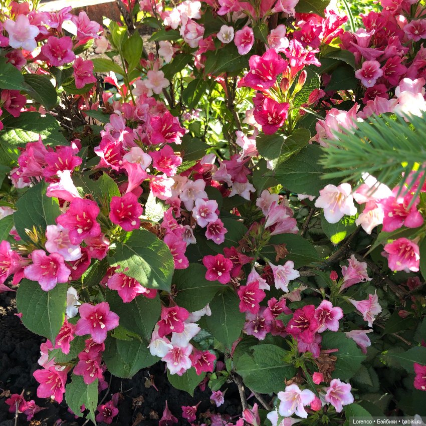 Первый день лета — Испанские куклы (разное): Vestida de Azul