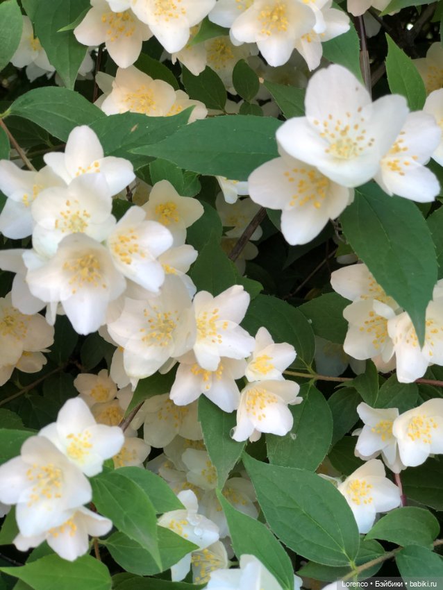 Первый день лета — Испанские куклы (разное): Vestida de Azul