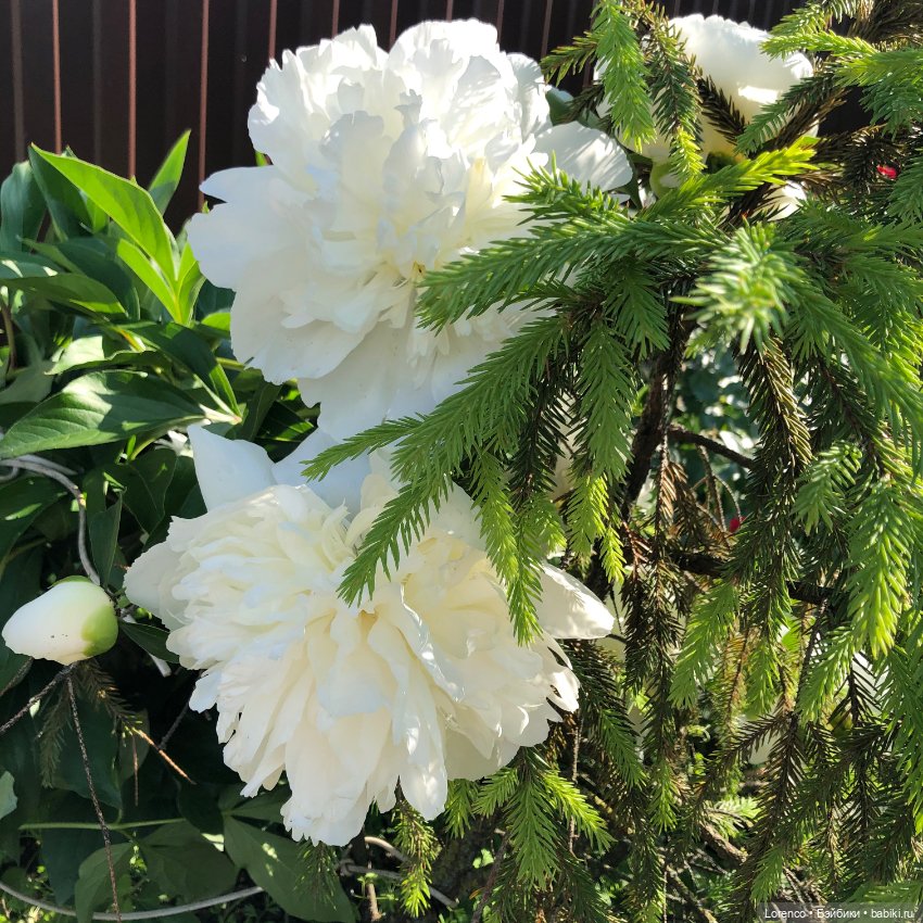 Первый день лета — Испанские куклы (разное): Vestida de Azul