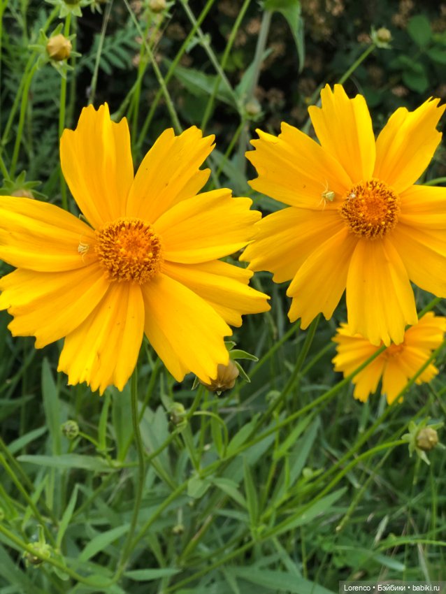 Первый день лета — Испанские куклы (разное): Vestida de Azul (фото 5)